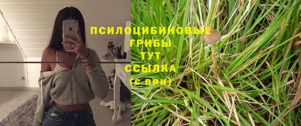 прущая мука Арсеньев