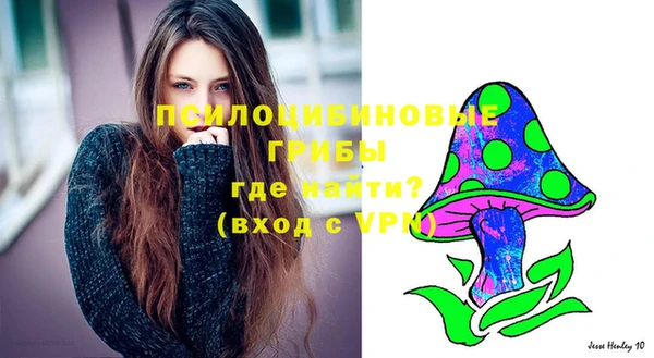 прущая мука Арсеньев