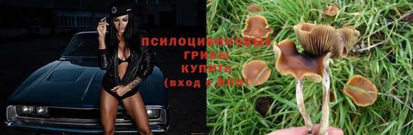 прущая мука Арсеньев