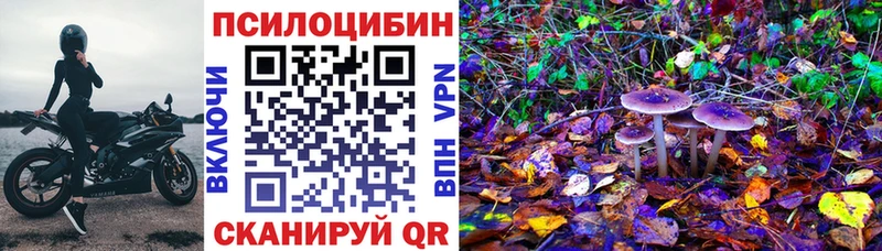 Псилоцибиновые грибы мицелий Асбест